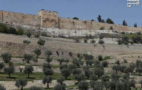 The Mount of Olives Lookout